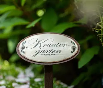 Ernte ohne Garten - Im duftenden Kräutergarten auf dem Balkon