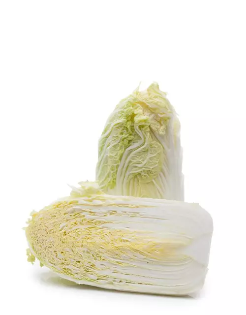 Brassica rapa subsp. pekinensis