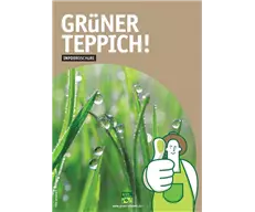 Infobroschüre Gruener Teppich.JPG