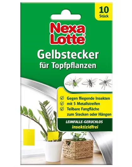 Nexa-Lotte Gelbstecker