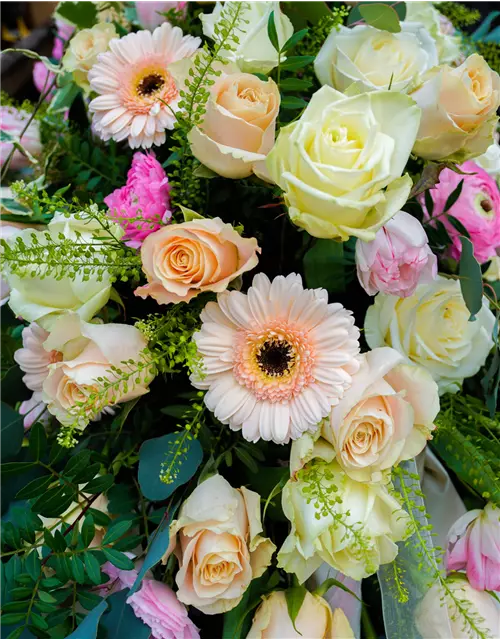 Sargdecke 'Adelaide', Kiefl Floristik