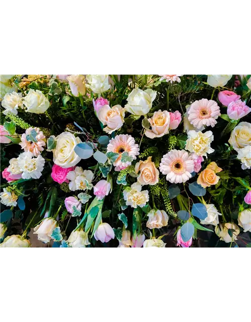 Sargdecke 'Adelaide', Kiefl Floristik