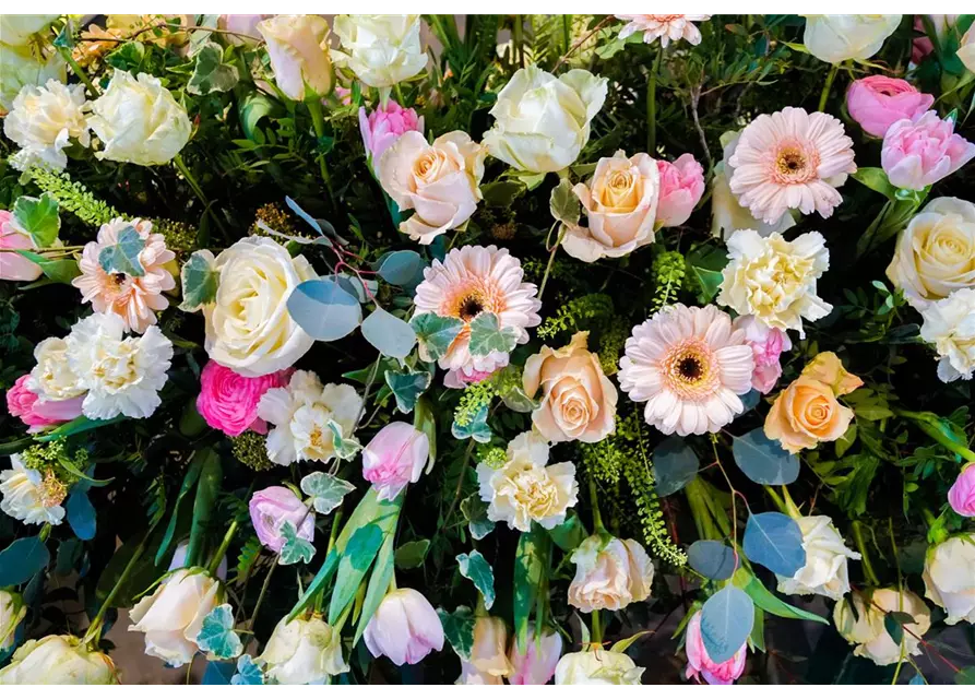 Sargdecke 'Adelaide', Kiefl Floristik