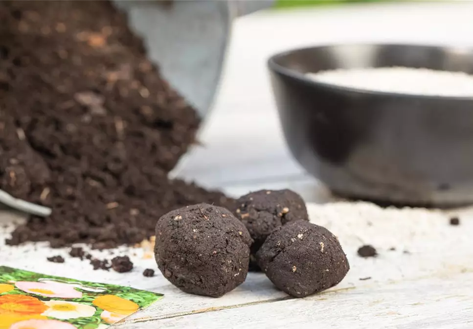 Samenbomben – blühende Überraschungen im Garten