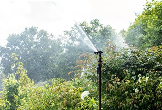 Gartenbewässerung für einen frischen Garten kaufen