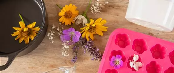 Blumenseife - die etwas andere Seife mit Blüten