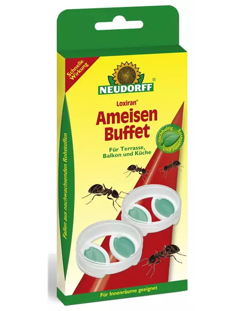 Loxiran AmeisenBuffet -die nachfüllbare Köderdose 