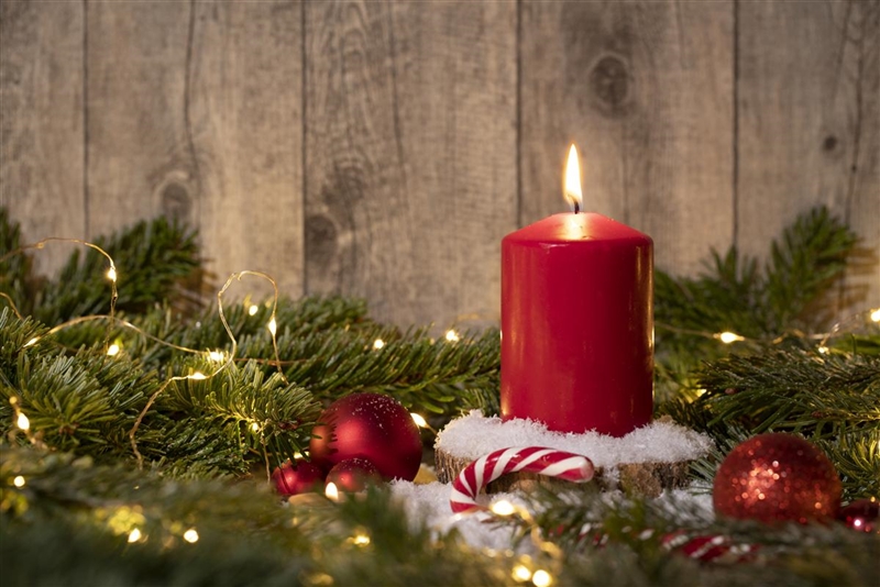 Dekoration für die Adventszeit – so kommt Stimmung auf! - Gartencenter