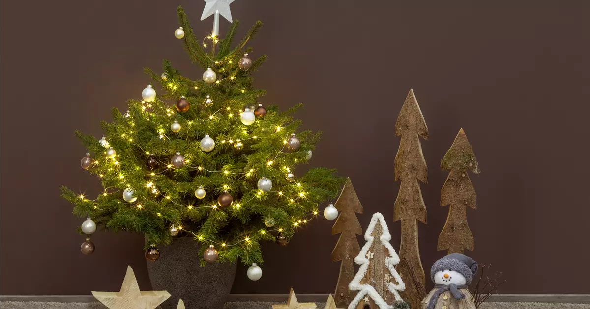 So Konnen Sie Den Garten An Weihnachten Schmucken