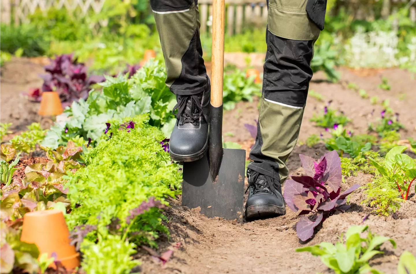 Einfache Gartenarbeit mit dem richtigen Gartenbedarf