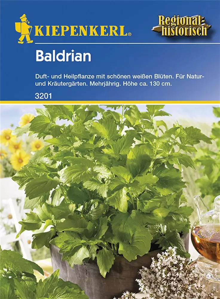 Kiepenkerl Baldrian 3201 Duft & Heilpflanze mehrjährig 