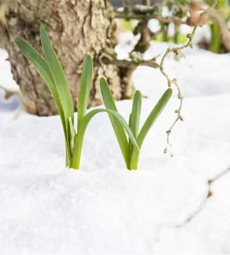 Wir freuen uns auf den Frühling!