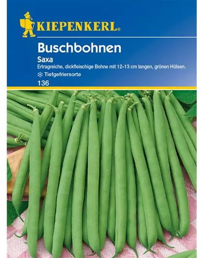 Busch-Bohne 'Saxa'