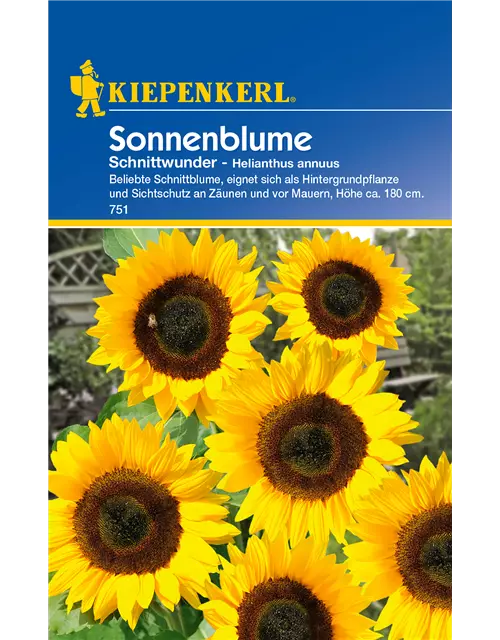 Sonnenblume 'Schnittwunder'