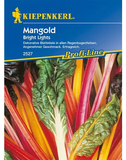 Blatt-Mangold 'Bright Lights'