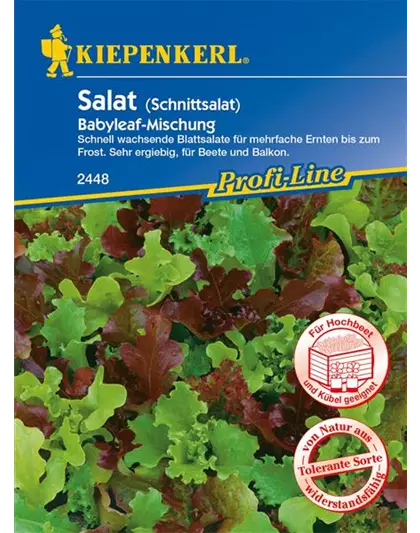 Babyleaf-Salat