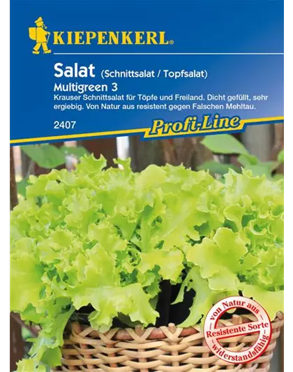 Eisbergsalat 'Multigreen 3'