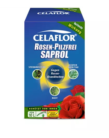 Celaflor Rosen-Pilzfrei Saprol Konzentrat