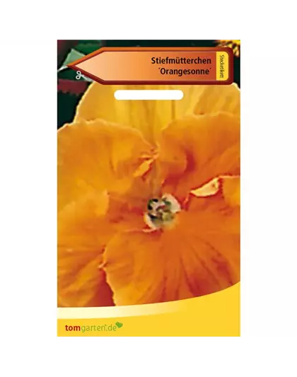 Garten-Stiefmütterchen 'Schweizer Riesen Orange Sonne'