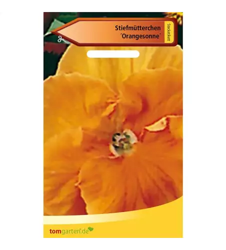 Garten-Stiefmütterchen 'Schweizer Riesen Orange Sonne'