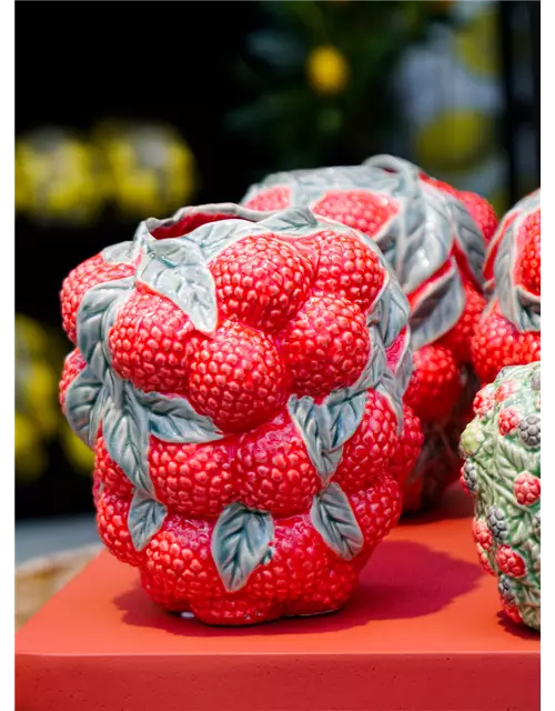 Vase Erdbeere, Des Pots