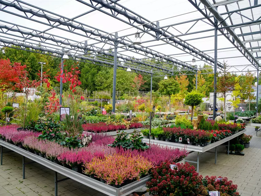 Baumschule Gartencenter Kiefl