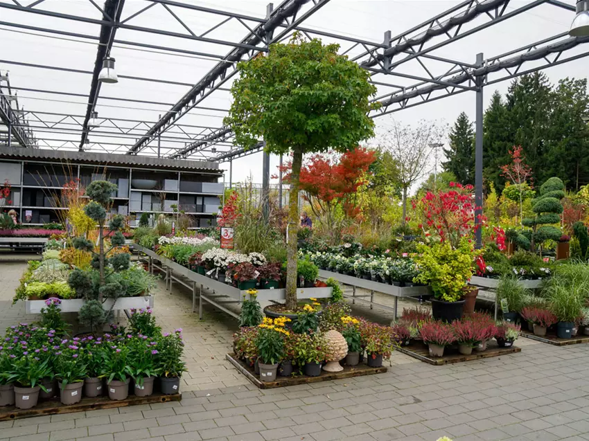 Baumschule Gartencenter Kiefl