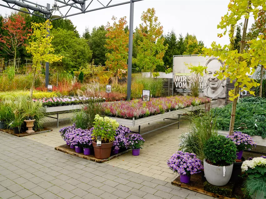 Baumschule Gartencenter Kiefl