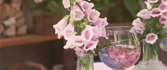 Vasen – mehr als schlichte Wasserspeicher