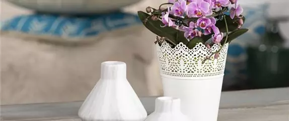 Vasen – mehr als schlichte Wasserspeicher