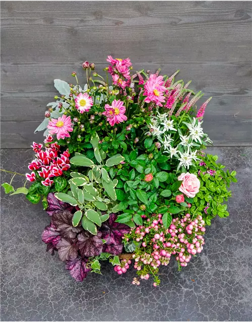 Trauerschale Herbst "Rosanna"