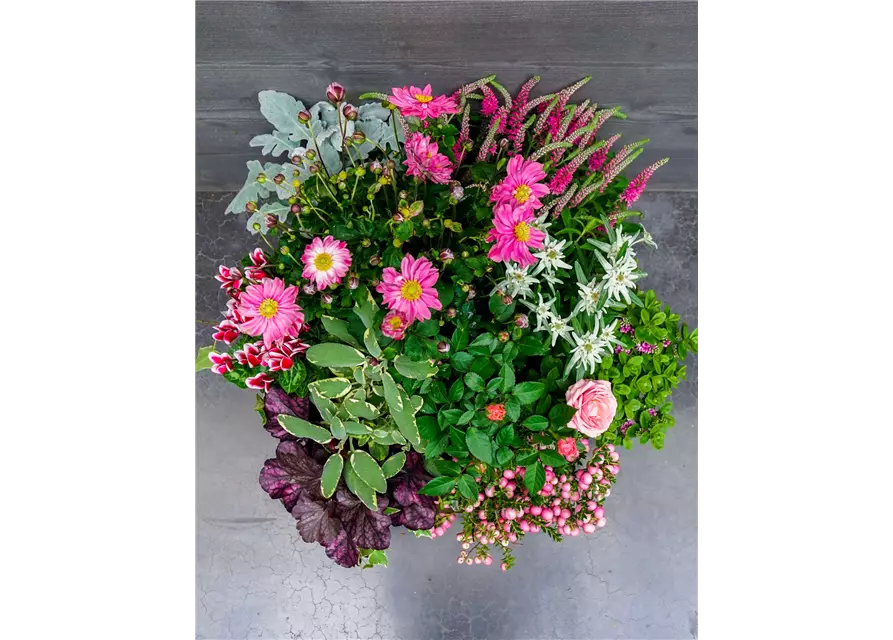 Trauerschale Herbst "Rosanna"