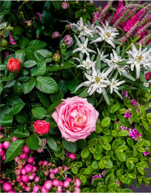Trauerschale Herbst "Rosanna"