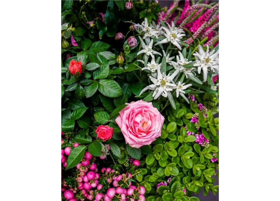 Trauerschale Herbst "Rosanna"