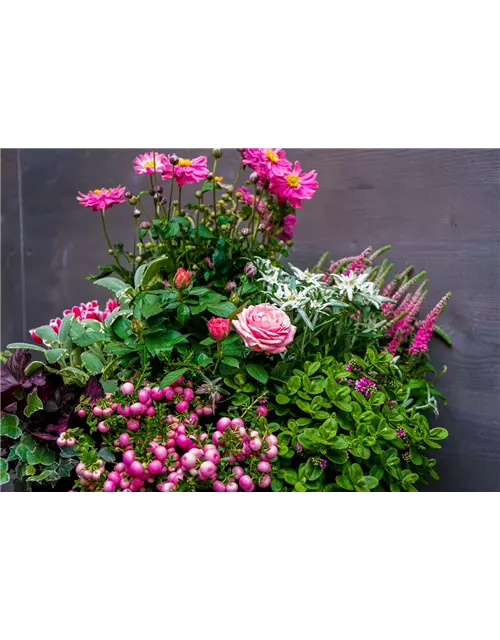 Trauerschale Herbst "Rosanna"