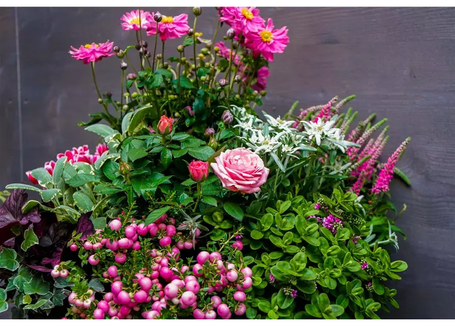 Trauerschale Herbst "Rosanna"