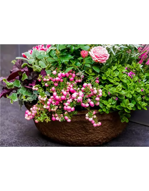 Trauerschale Herbst "Rosanna"