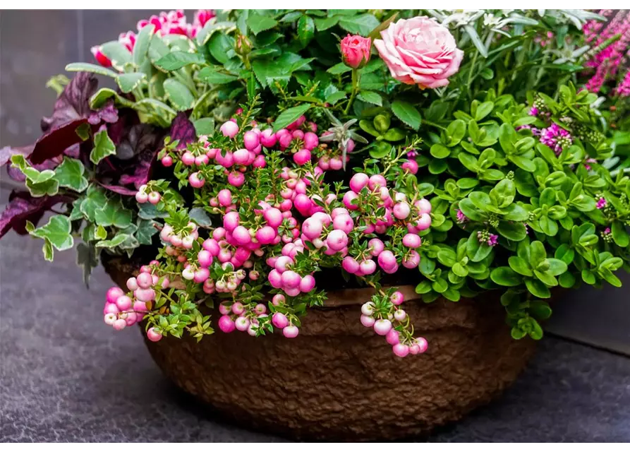 Trauerschale Herbst "Rosanna"
