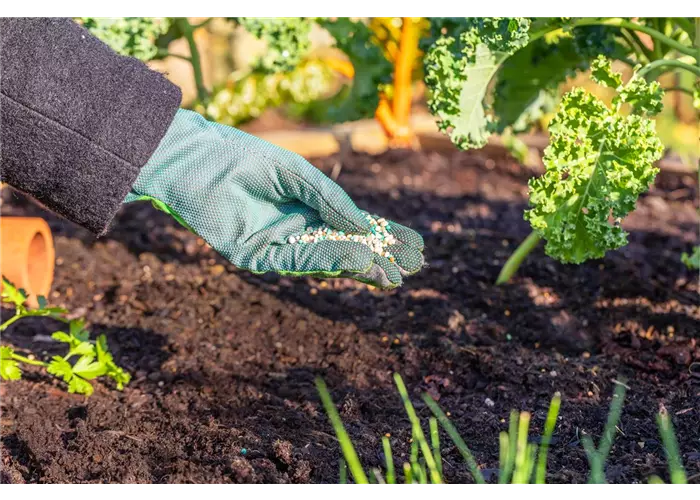 BIO Dünger BIO Dünger