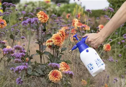 Pflanzenschutz Pflanzenschutz