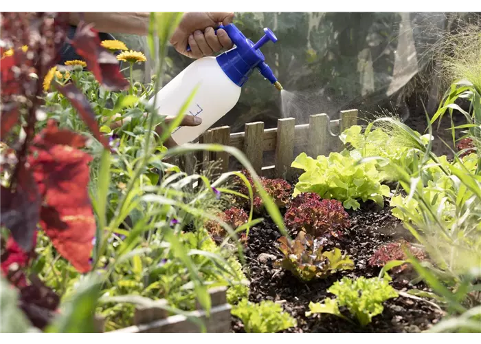 Pflanzenschutz Pflanzenschutz