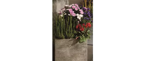 EIN KUNTERBUNTER HERBST! EIN KUNTERBUNTER HERBST!