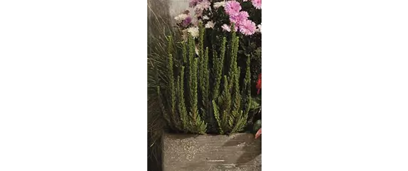 EIN KUNTERBUNTER HERBST! EIN KUNTERBUNTER HERBST!