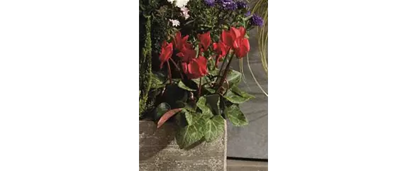 EIN KUNTERBUNTER HERBST! EIN KUNTERBUNTER HERBST!