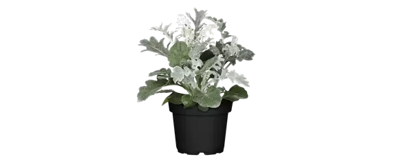 EIN KUNTERBUNTER HERBST! EIN KUNTERBUNTER HERBST!