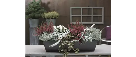 EIN KUNTERBUNTER HERBST! EIN KUNTERBUNTER HERBST!