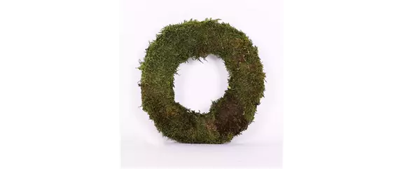 EIN KUNTERBUNTER HERBST! EIN KUNTERBUNTER HERBST!