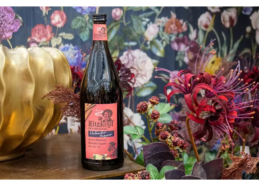 Hitzkopf Holunder/Ingwer Fruchtglühwein