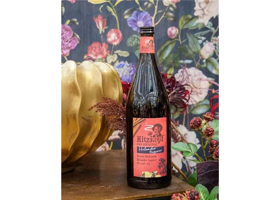 Hitzkopf Holunder/Ingwer Fruchtglühwein