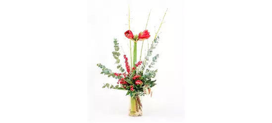 Weihnachtsstrauß "Amaryllis Red"